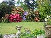 Pictures of Moyclare Garden, Liskeard